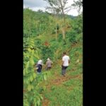 caficultores-ruta-del-café