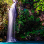 Selvas centroamericanas pasión por la naturaleza