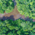 Canales de Tortuguero