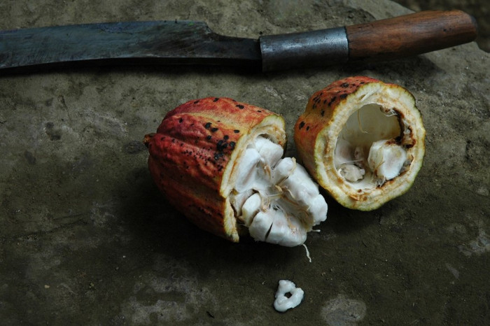 El cacao diversifica la oferta turística de Guatemala