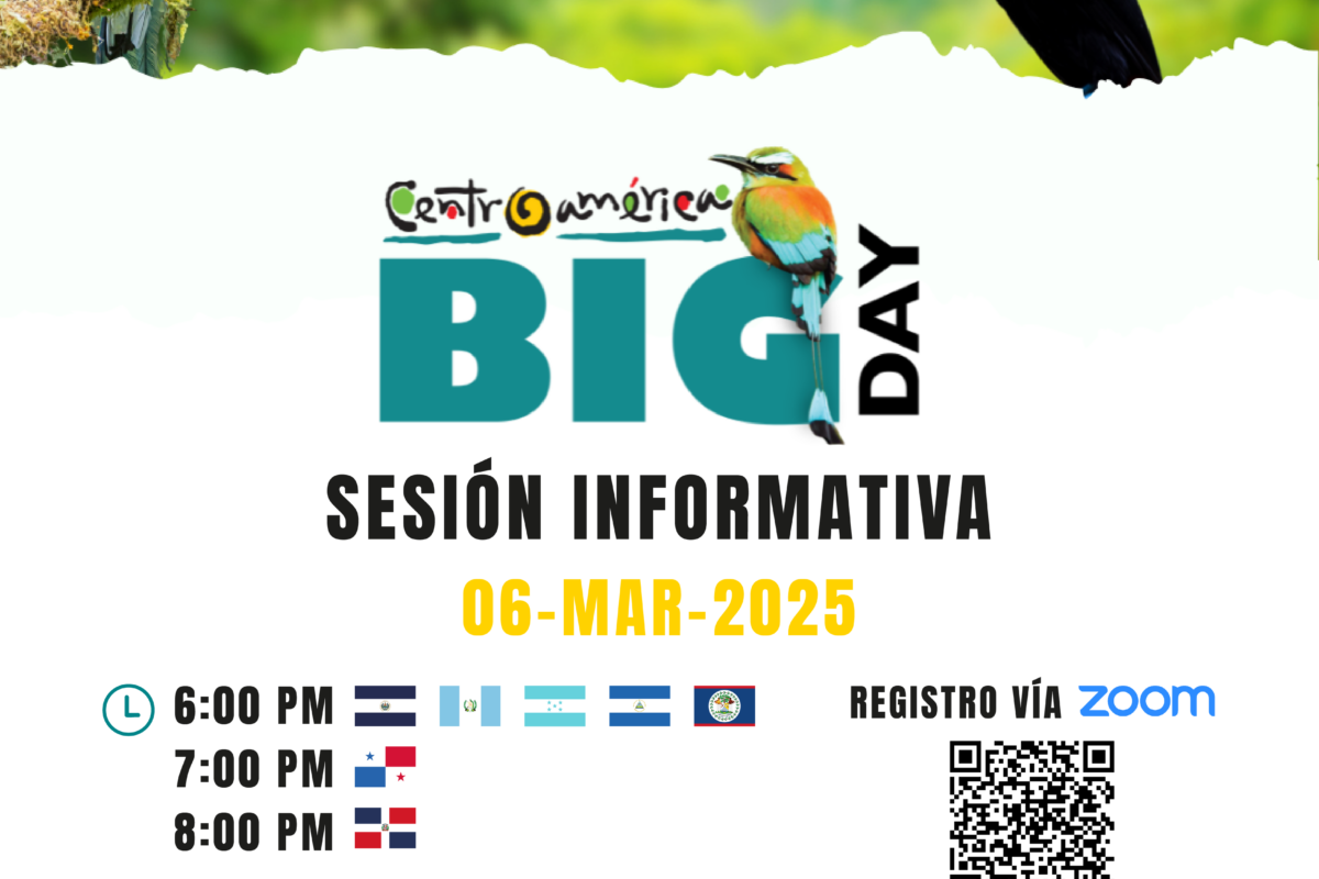 Sesión informativa Big Day